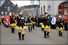 71. Session - Faschingsumzug