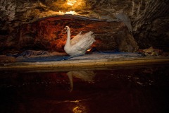 Erlebnisbergwerk Sondershausen