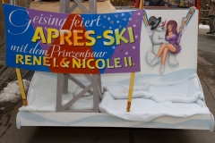 Fasching Faschingsumzug