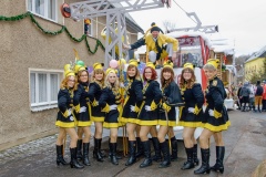 Faschingsumzug, Gruppenfoto