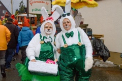 Faschingsumzug, Gruppenfoto
