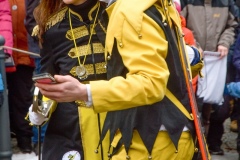 Fasching Faschingsumzug