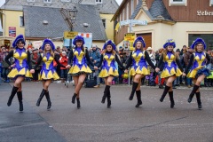 Fasching Faschingsumzug