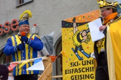 Fasching Faschingsumzug