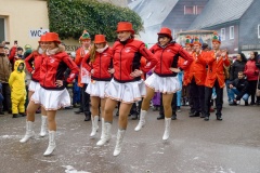 Fasching Faschingsumzug