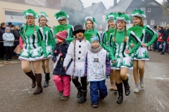 Fasching Faschingsumzug