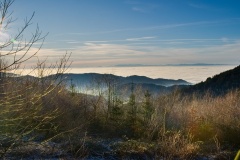 Am Mummelsee - Schwarzwald