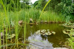 Reemtsma Oldietreffen - Meißen