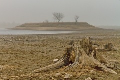 Die Galgenteichinsel