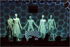 fhd-ifs_1155