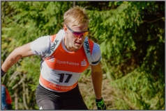 DM 2018 - Sprint